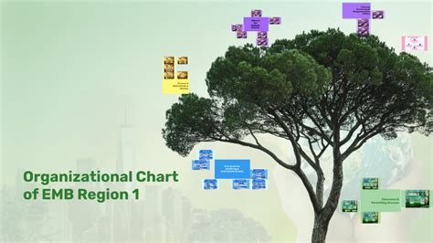 emb region 1|Organizational Chart .